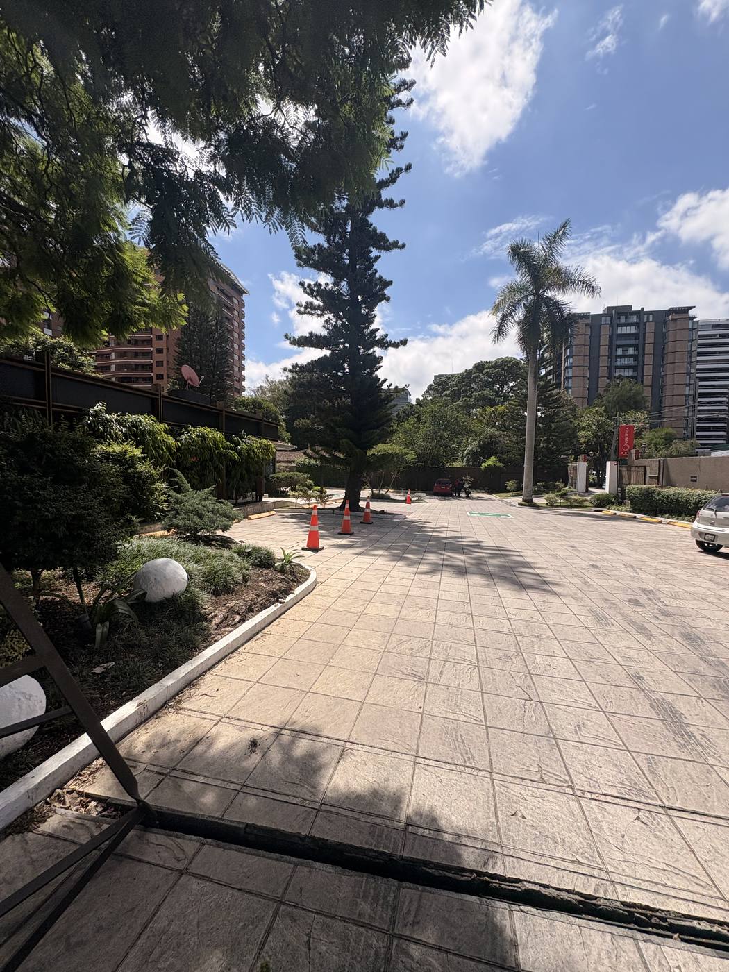 A leafy residential street in Zona 14 with apartment towers and a tall palm
