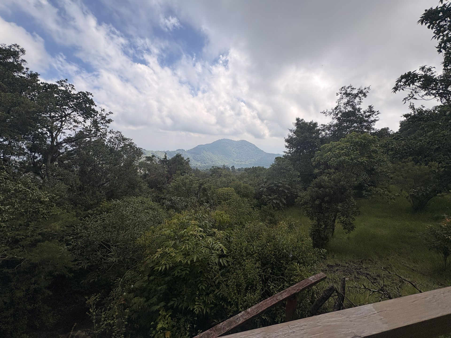 Forest trail opening toward a volcano in the Guatemalan highlands